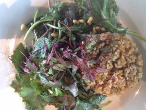 Bulgur Wheat Salad; Popped Kamut and Kale Salad with ingredients from Senator John Tester’s farm
